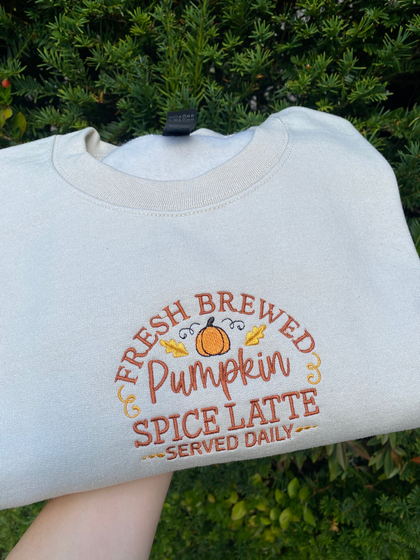 Pumpkin Spice Embroidered Sweatshirt