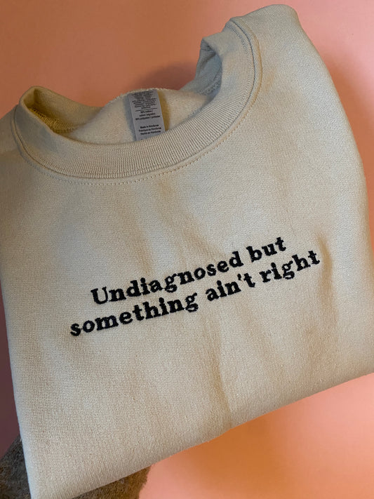 Undiagnosed Embroidered Sweatshirt