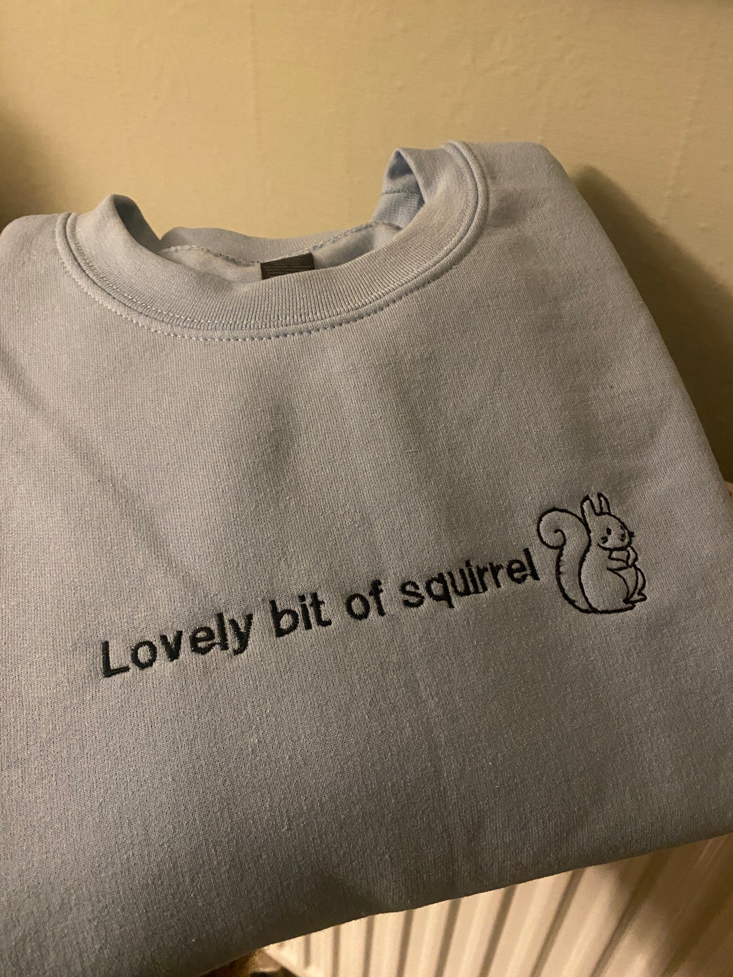 Lovely bit of squirrel Embroidered Sweatshirt